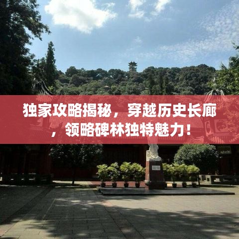 独家攻略揭秘，穿越历史长廊，领略碑林独特魅力！