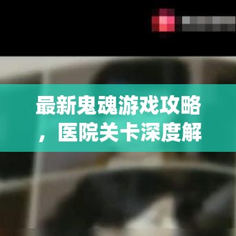 最新鬼魂游戏攻略，医院关卡深度解析与通关秘籍