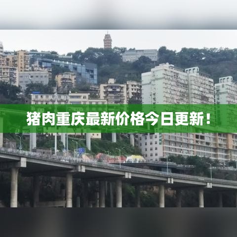 猪肉重庆最新价格今日更新！
