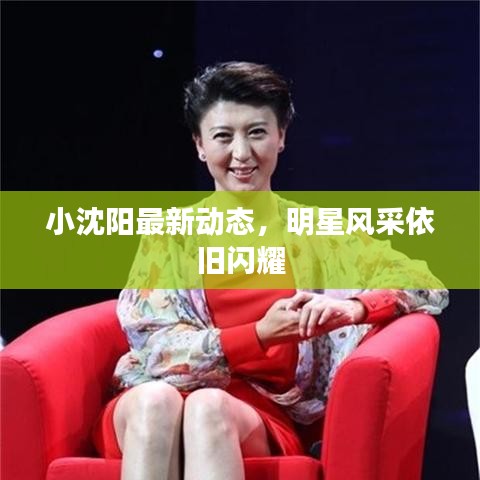 小沈阳最新动态，明星风采依旧闪耀