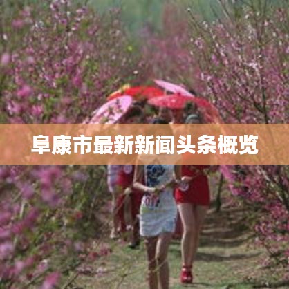 阜康市最新新闻头条概览