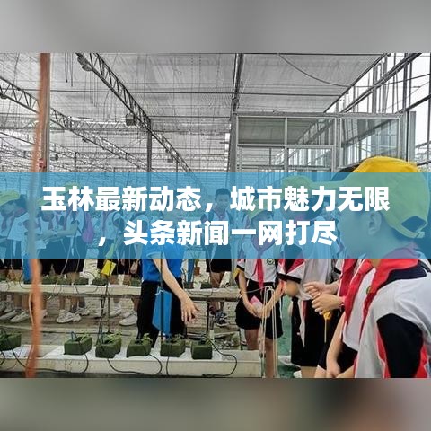 玉林最新动态，城市魅力无限，头条新闻一网打尽