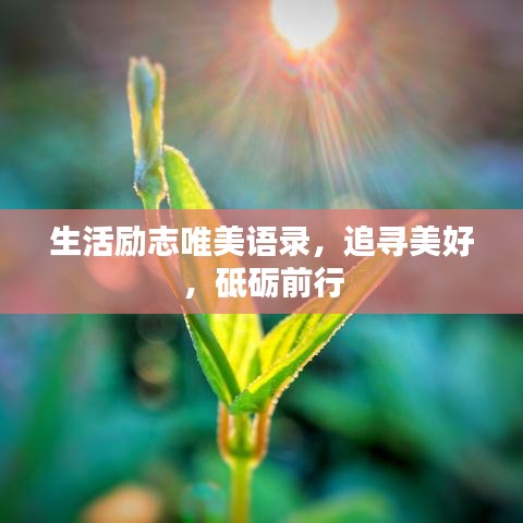 生活励志唯美语录，追寻美好，砥砺前行