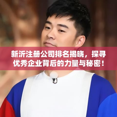 新沂注册公司排名揭晓，探寻优秀企业背后的力量与秘密！