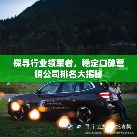 探寻行业领军者，稳定口碑营销公司排名大揭秘