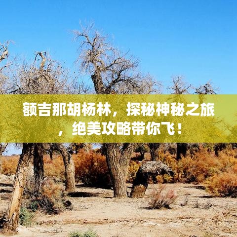 额吉那胡杨林，探秘神秘之旅，绝美攻略带你飞！