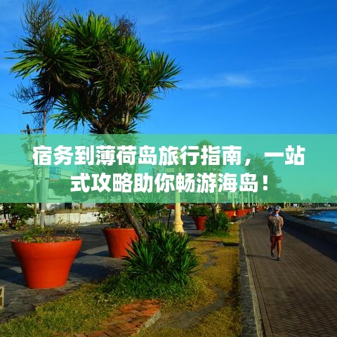 宿务到薄荷岛旅行指南，一站式攻略助你畅游海岛！