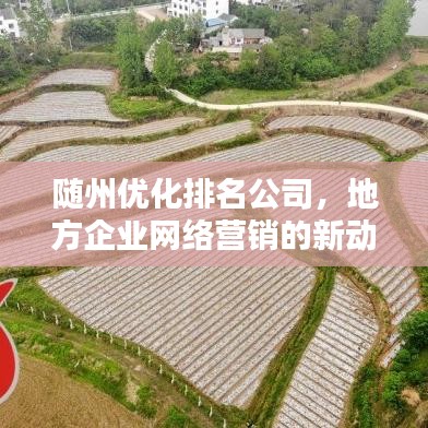 随州优化排名公司，地方企业网络营销的新动力伙伴