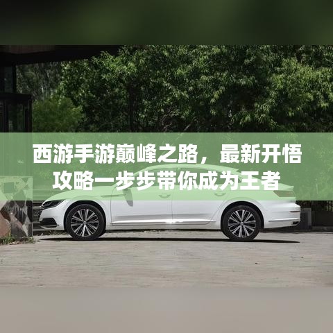 西游手游巅峰之路，最新开悟攻略一步步带你成为王者