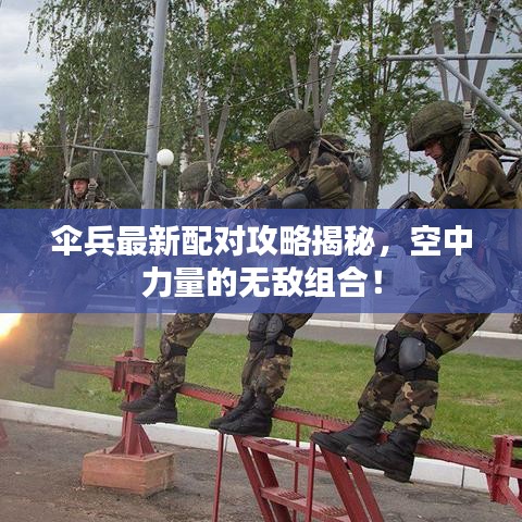 伞兵最新配对攻略揭秘，空中力量的无敌组合！