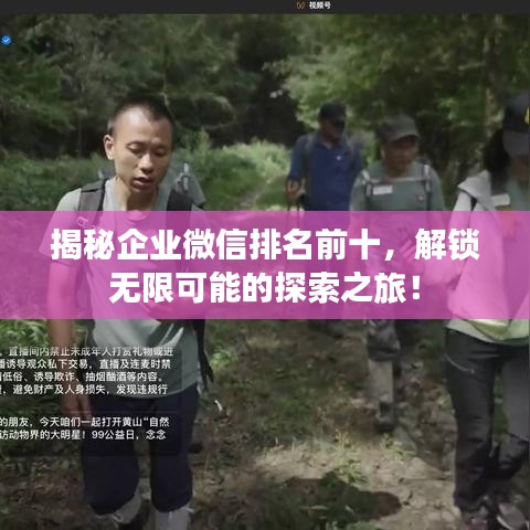 揭秘企业微信排名前十，解锁无限可能的探索之旅！