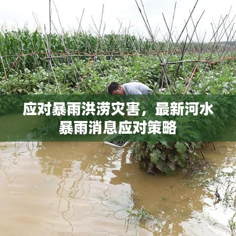 应对暴雨洪涝灾害，最新河水暴雨消息应对策略