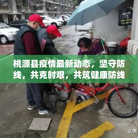 桃源县疫情最新动态，坚守防线，共克时艰，共筑健康防线