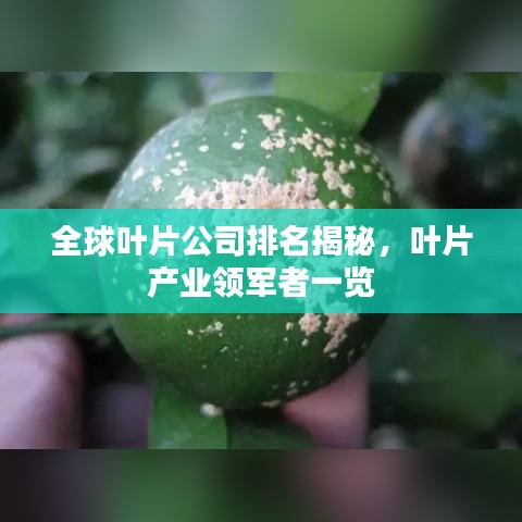 全球叶片公司排名揭秘，叶片产业领军者一览