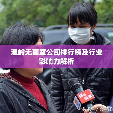 温岭无菌室公司排行榜及行业影响力解析