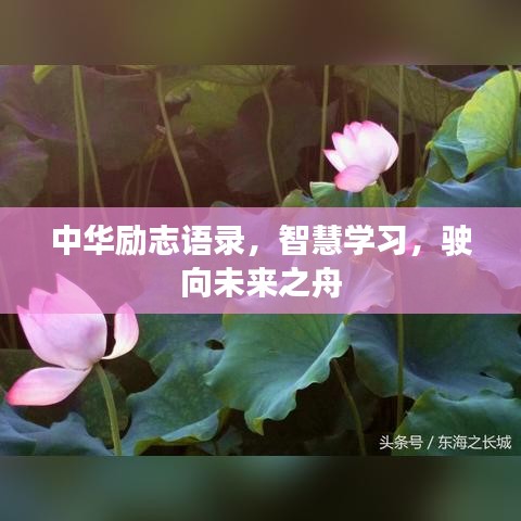 中华励志语录，智慧学习，驶向未来之舟
