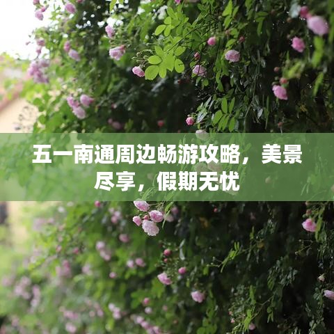 五一南通周边畅游攻略，美景尽享，假期无忧