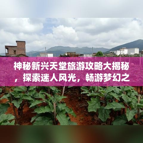 神秘新兴天堂旅游攻略大揭秘，探索迷人风光，畅游梦幻之地！