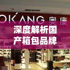 深度解析国产箱包品牌排名前十榜单，品质对比不容错过