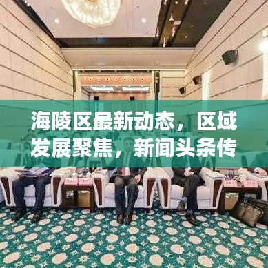 海陵区最新动态，区域发展聚焦，新闻头条传递最新资讯