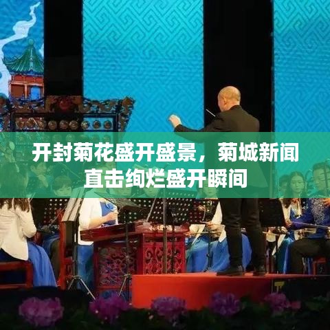 开封菊花盛开盛景，菊城新闻直击绚烂盛开瞬间