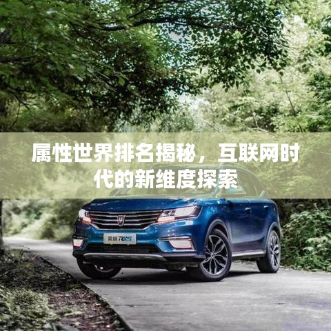属性世界排名揭秘，互联网时代的新维度探索