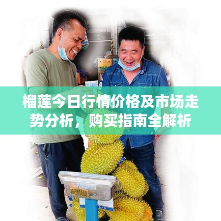 榴莲今日行情价格及市场走势分析，购买指南全解析