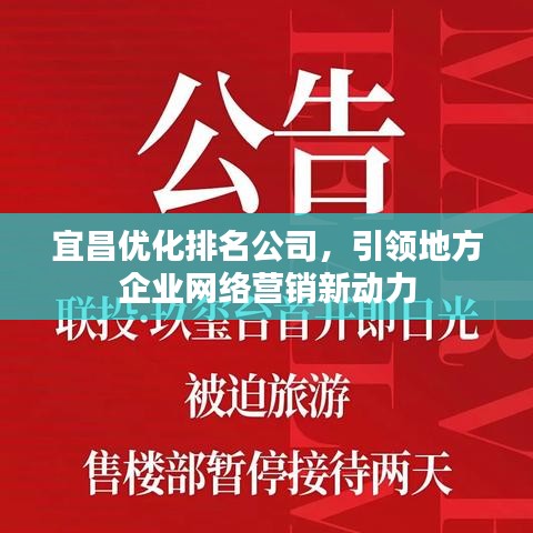 宜昌优化排名公司，引领地方企业网络营销新动力