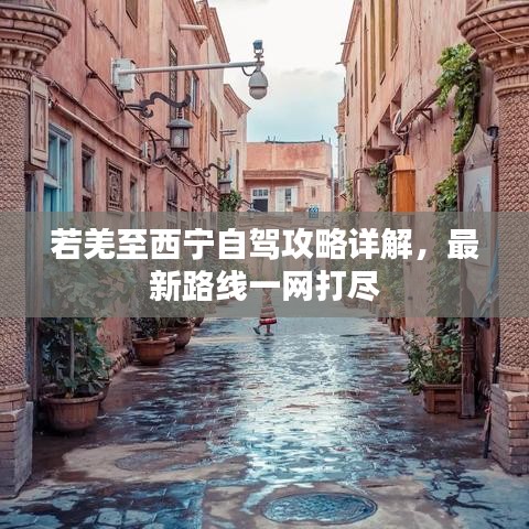 若羌至西宁自驾攻略详解，最新路线一网打尽