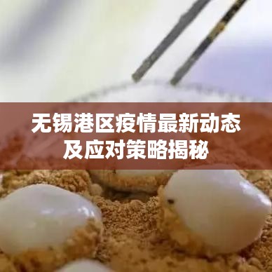 无锡港区疫情最新动态及应对策略揭秘