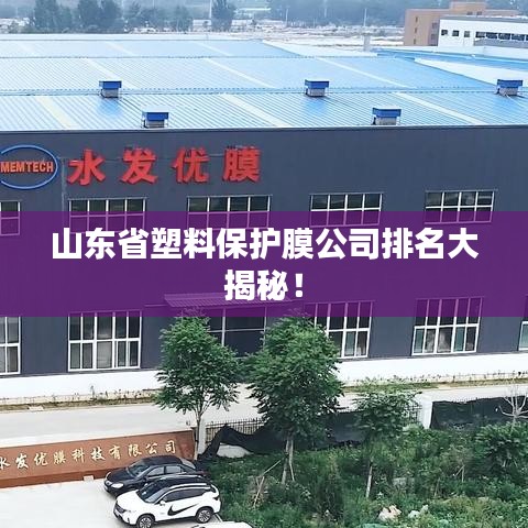 山东省塑料保护膜公司排名大揭秘！