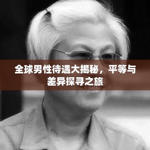 全球男性待遇大揭秘，平等与差异探寻之旅