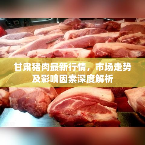 甘肃猪肉最新行情，市场走势及影响因素深度解析