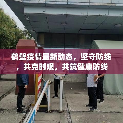 鹤壁疫情最新动态，坚守防线，共克时艰，共筑健康防线
