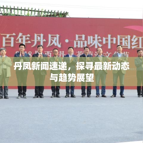 丹凤新闻速递，探寻最新动态与趋势展望