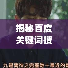 揭秘百度关键词搜索背后的副作用，真相大揭秘！