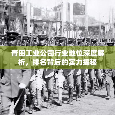 青田工业公司行业地位深度解析，排名背后的实力揭秘
