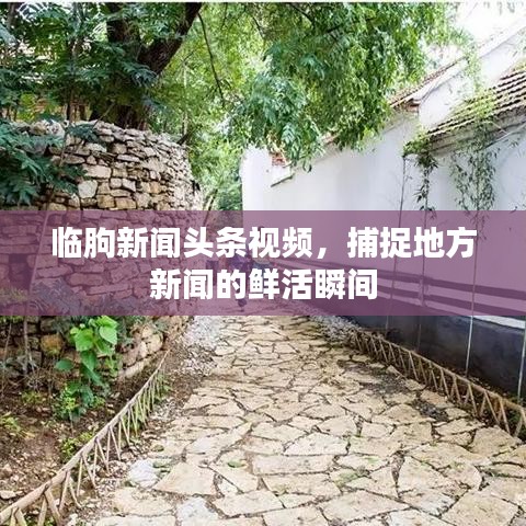 临朐新闻头条视频，捕捉地方新闻的鲜活瞬间