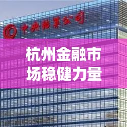 杭州金融市场稳健力量解读，国债公司排名一览