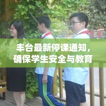 丰台最新停课通知，确保学生安全与教育质量并重，家长速览！