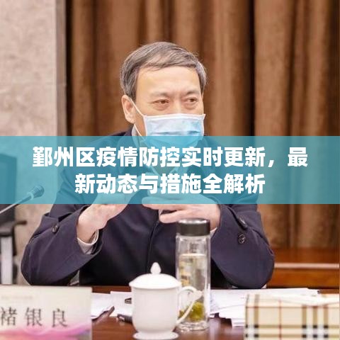鄞州区疫情防控实时更新，最新动态与措施全解析