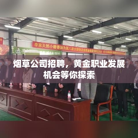 烟草公司招聘，黄金职业发展机会等你探索
