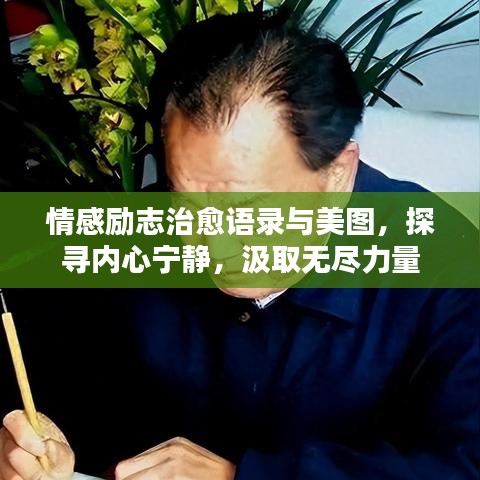 情感励志治愈语录与美图，探寻内心宁静，汲取无尽力量