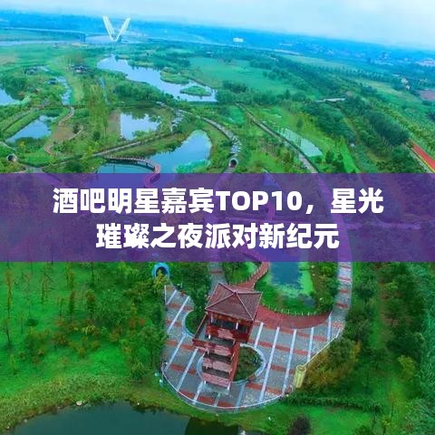 酒吧明星嘉宾TOP10，星光璀璨之夜派对新纪元