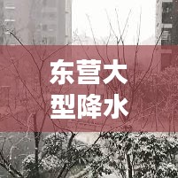 东营大型降水预报最新，暴雨来袭如何应对？备战天气变化攻略！