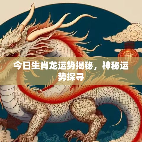 今日生肖龙运势揭秘，神秘运势探寻