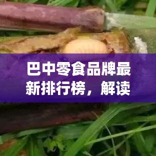 巴中零食品牌最新排行榜，解读当地零食市场热门品牌，不容错过的美食指南！