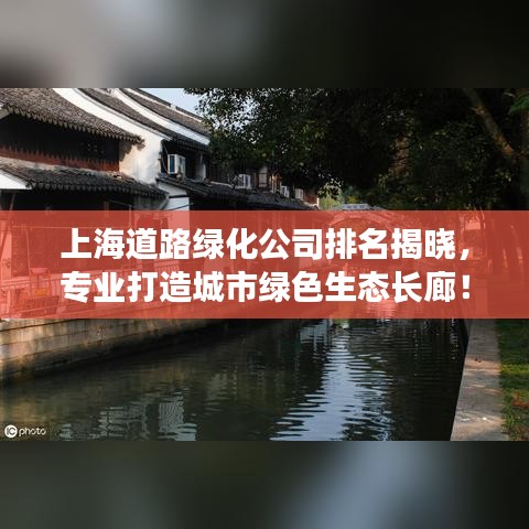 上海道路绿化公司排名揭晓，专业打造城市绿色生态长廊！