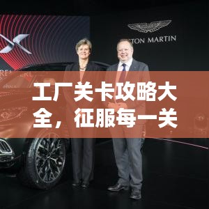 工厂关卡攻略大全，征服每一关的秘诀与技巧揭秘！
