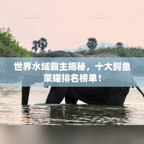 世界水域霸主揭秘，十大鳄鱼荣耀排名榜单！